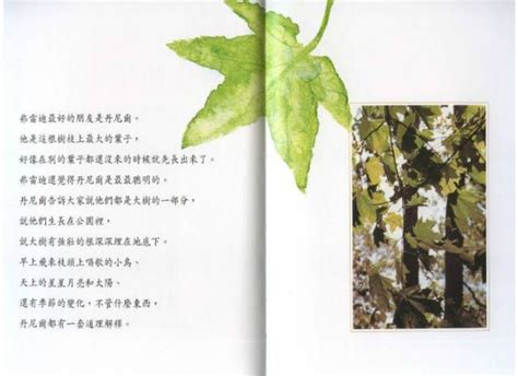 一片叶子的哲理,一片叶子的感悟一句话,形容绿叶的优美句子_大山谷图库