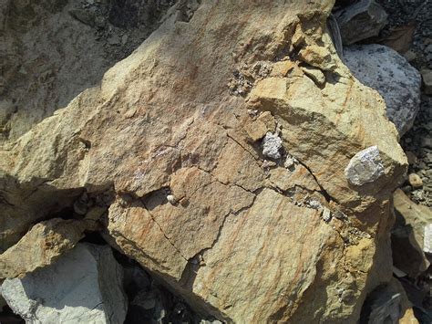 霓石型稀土矿石_Aegirine-type Rare-earth Ore_国家岩矿化石标本资源共享平台