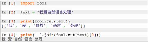 Python结巴中文分词工具使用过程中遇到的问题及解决方法 / 张生荣