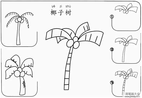 椰子树简笔画骤图图片 椰子树怎么画- 老师板报网