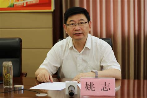 【中安在线】专访滁州市副市长姚志：大融入带来经济实力大提升_外媒看滁_新闻_
