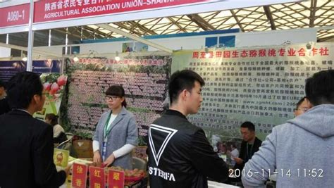 推广 | 中国猕猴桃全产业链引领者齐峰果业亮相11月亚果会 | 国际果蔬报道