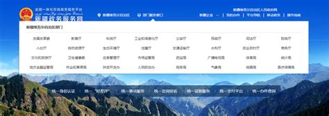 【政务服务】新疆政务服务网上线啦！-搜狐大视野-搜狐新闻