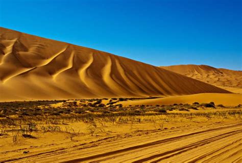 五一 大漠行游 遇见腾格里 沙漠体验之旅（4日行程） - 8264活动平台