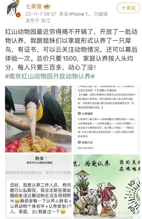 2018南京红山森林动物园门票价格+优惠信息_旅泊网