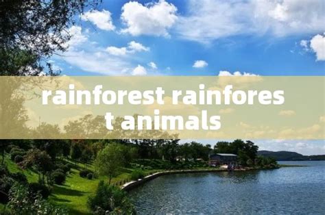 rainforest rainforest animals - 周记网