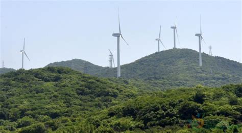 舟山风力发电上半年发电量同比下降二成-国际新能源网