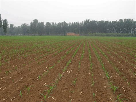 浅析农林抗旱保水剂对肥料的吸附作用微生物土壤抗旱保水剂