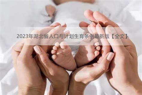 2023年湖北省人口与计划生育条例最新版【全文】 - 地方条例 - 律科网