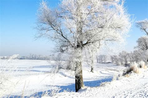 冬天雪景高清图片下载-正版图片500442487-摄图网