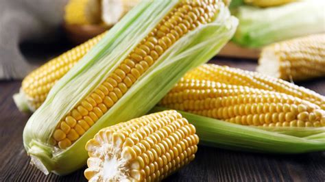 🌽玉米是禾本科玉蜀黍属，它的正式中文名就叫玉蜀黍……