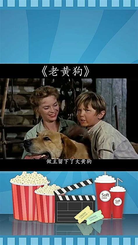 早期迪尼斯冒险片——老黄狗，和忠犬八公差不多类型，值得一看二_腾讯视频