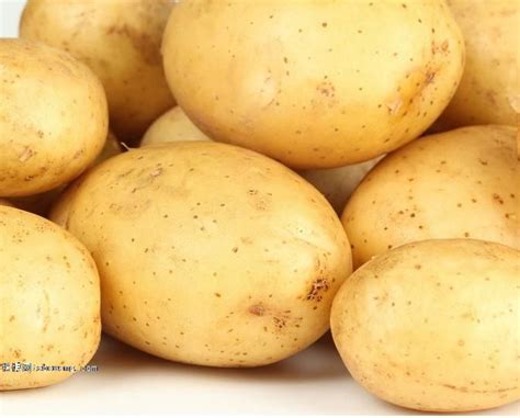 马铃薯的繁殖方式-农百科