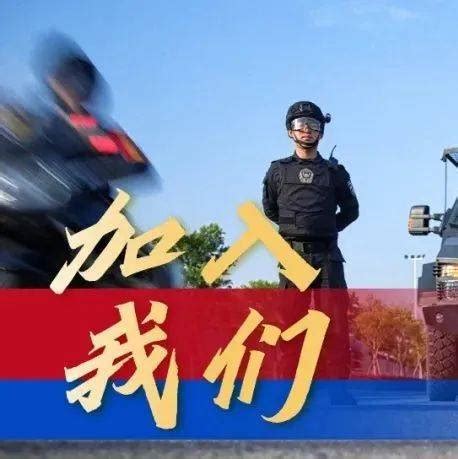 上海辅警使用新版辅警制服及肩章警号-金辉警用装备采购网