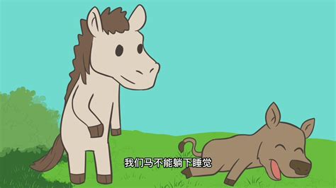 马不停蹄，为什么马要站着睡觉_腾讯视频