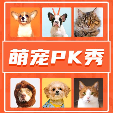 萌宠PK秀投票活动-智能营销平台丨人人秀互动营销平台 rrx.cn