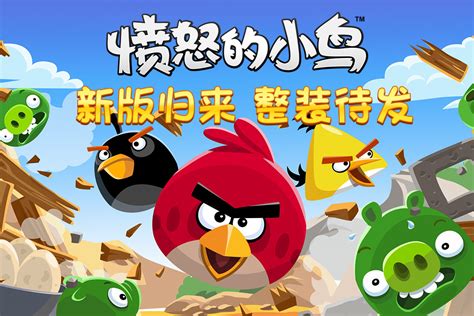 2019愤怒的小鸟（中文版）v6.2.6老旧历史版本安装包官方免费下载_豌豆荚