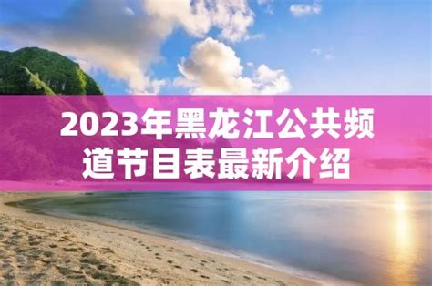 2023年黑龙江公共频道节目表最新介绍 - 周记网