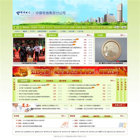 顶辰商城独立商城建设案例,网上商城网站建设方案,上海商城网站建设-海淘科技