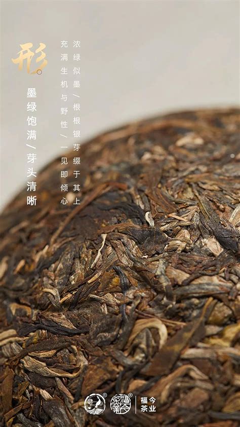 2019年福今茶业“土鸡沱”普洱茶正式发售-爱普茶网,最新茶资讯网站,https://www.ipucha.com