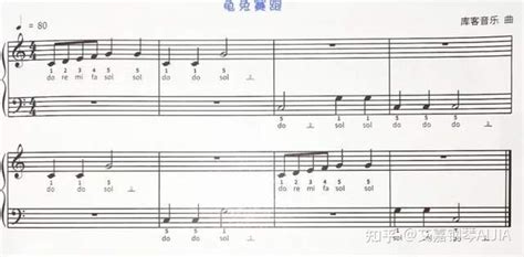 初学者钢琴怎么认音符,钢琴的26个音符,音符的基本知识入门_大山谷图库