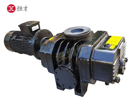 R系列罗茨真空泵-真空泵设备-浙江英帕机电有限公司