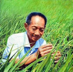 “超级稻计划”20周年：袁隆平的两个梦想——人民政协网