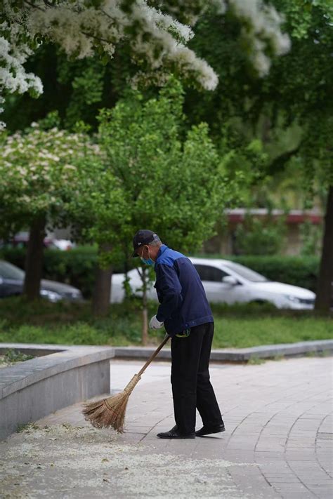 东北大妈在日本做保洁25年，成“世界第一清洁工”，被全日本人尊敬！|日本|清洁_新浪新闻