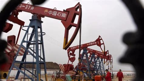 一季度中石油日亏1.53亿 油价低迷致上游巨亏 - 财经新闻 - 中国网•东海资讯