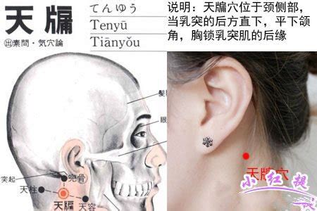 天容的准确位置图图片 天容的准确位置图图片