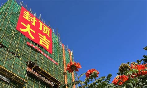 海南省陵水县委书记到分界洲岛调研项目建设前期工作-消费日报网