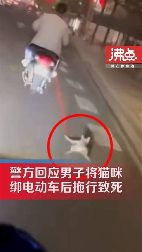 男子骑电动车拖行猫咪致死 警方：相关部门处理中 后续会通报|致死|猫|电动车_新浪新闻