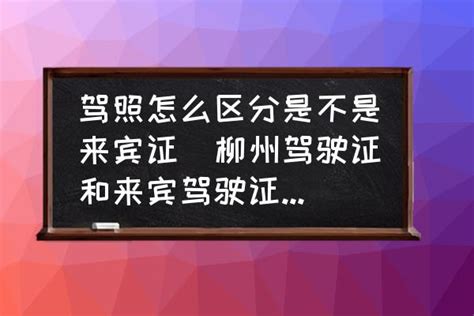 外国语学院到柳州国轩电池股份有限公司开展“访企拓岗”-广西科技大学外国语学院