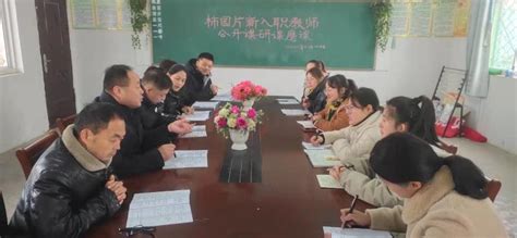 萧县王寨镇中心学校开展新入职教师公开课活动