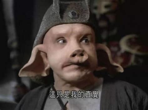 猪刚鬣图片
