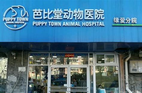 小动物医院|沙坪坝宠物医院|大学城动物医院|大学城宠物医院