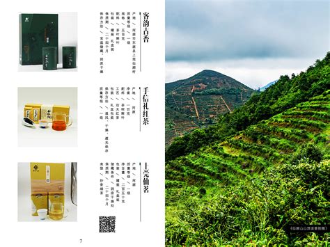 茶叶品牌整合营销及包装设计方案PPT模板_卡卡办公