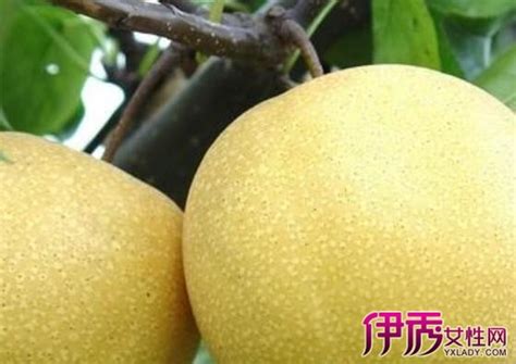 小儿肛裂图片