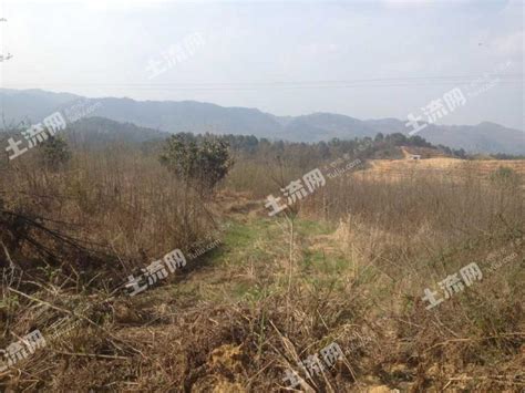 吉林省长春20亩荒山荒地转让- 聚土网