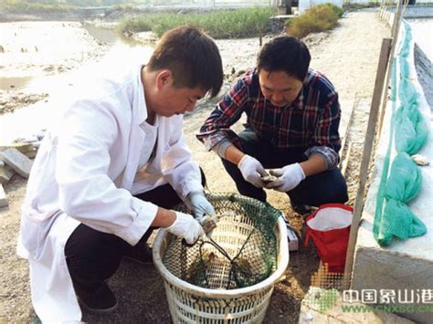 浙江宁波市象山县海洋与渔业局组团考察德清稻鳖共生种养模式_水产快讯（水产养殖）_水产养殖网