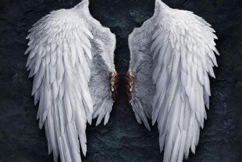 立华奏单角色图集，Angel Beats，天使的心跳