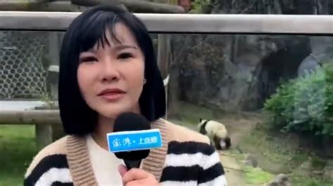 丫丫最新近况，来自4月2日在美华人姐姐月月拍摄的视频：天气好……_新浪新闻