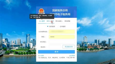 安徽国税电子税务局：http://etax.ah-n-tax.gov.cn