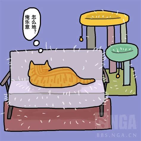 [科普知识]MYAO养猫入门 | 劝退指南：养猫有风险，入坑需谨慎！ 178