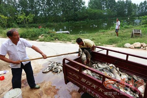 想吃鱼，解决！他们将新鲜活鱼送到800多户居民手中_武汉_新闻中心_长江网_cjn.cn