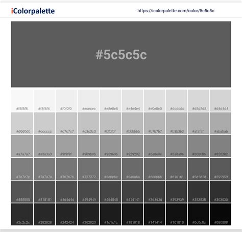 Iron Fixture ( similar ) Color | 5c5c5c information | Hsl | Rgb | Pantone
