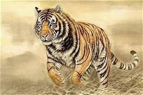 1986年属虎的是什么颜色的虎-太岁-火光网
