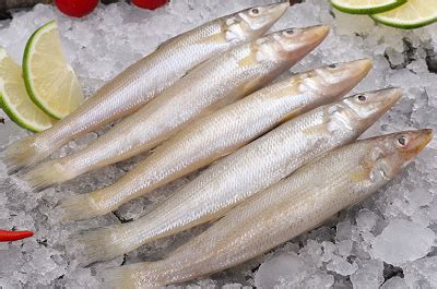 欧米伽3的食物含量表 4种鱼欧米伽3含量丰富_紫一商城