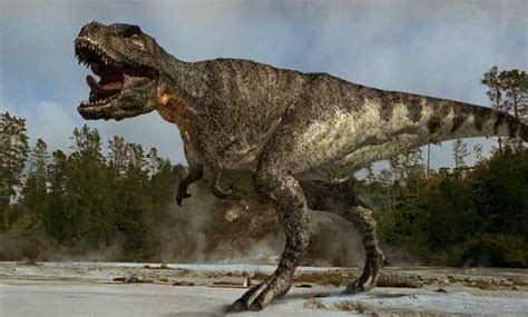 恐龙其实没有灭绝?关于恐龙的10大惊人真相揭秘_探秘志