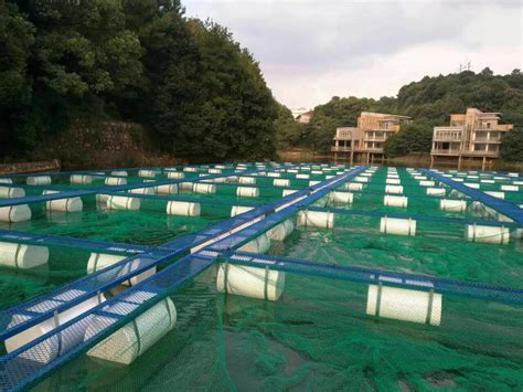 抗风浪大型深海圆形养殖网箱设备海洋养鱼网箱尼龙渔网水产品定制-阿里巴巴